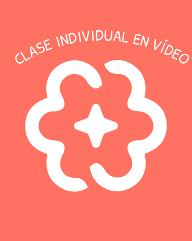 CLASE INDIVIDUAL EN VÍDEO